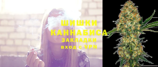 гидра Алексеевка