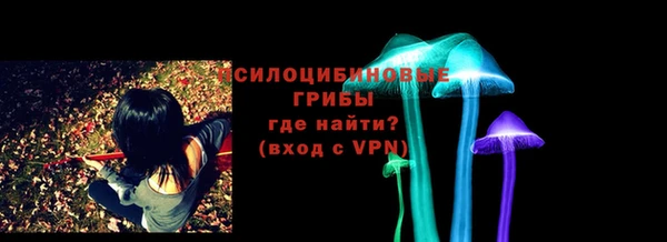тгк Алзамай