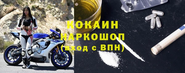 гидра Алексеевка