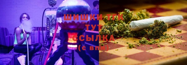 тгк Алзамай